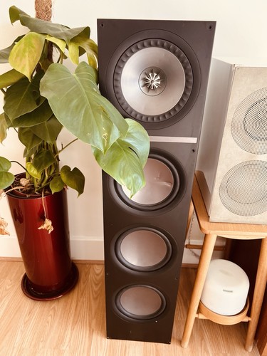 Kef q900 black - kef,
